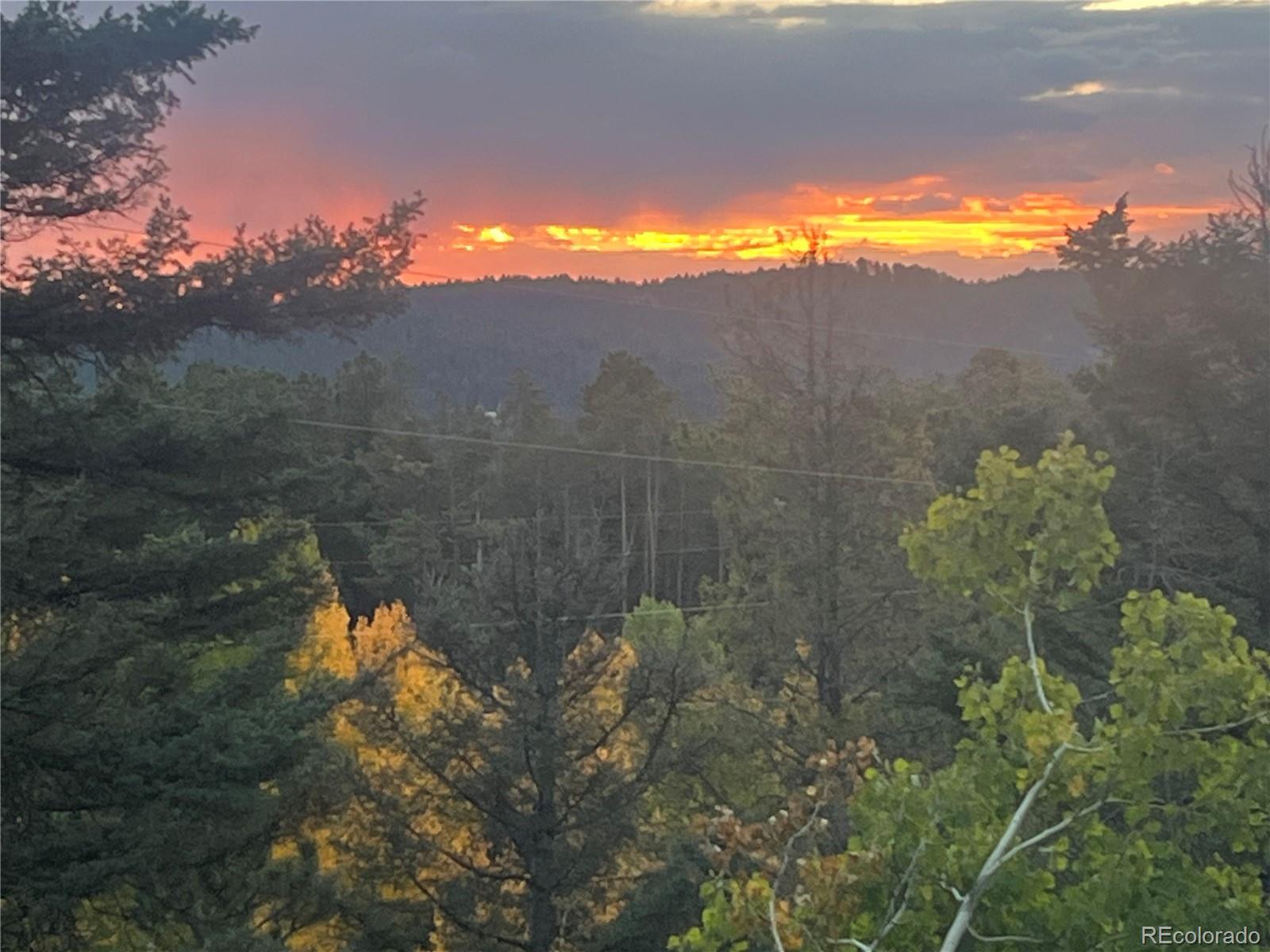 11825 Little Turtle Lane