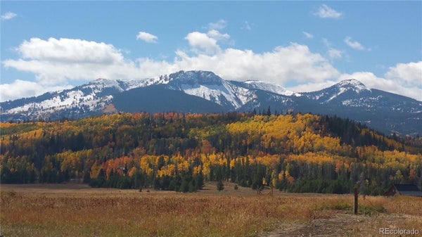 59045 BUTTON WILLOW DR, CLARK, CO 80428 - Image f0d962c4fcbb4a606e7cbf09ccac89b8/1611937257