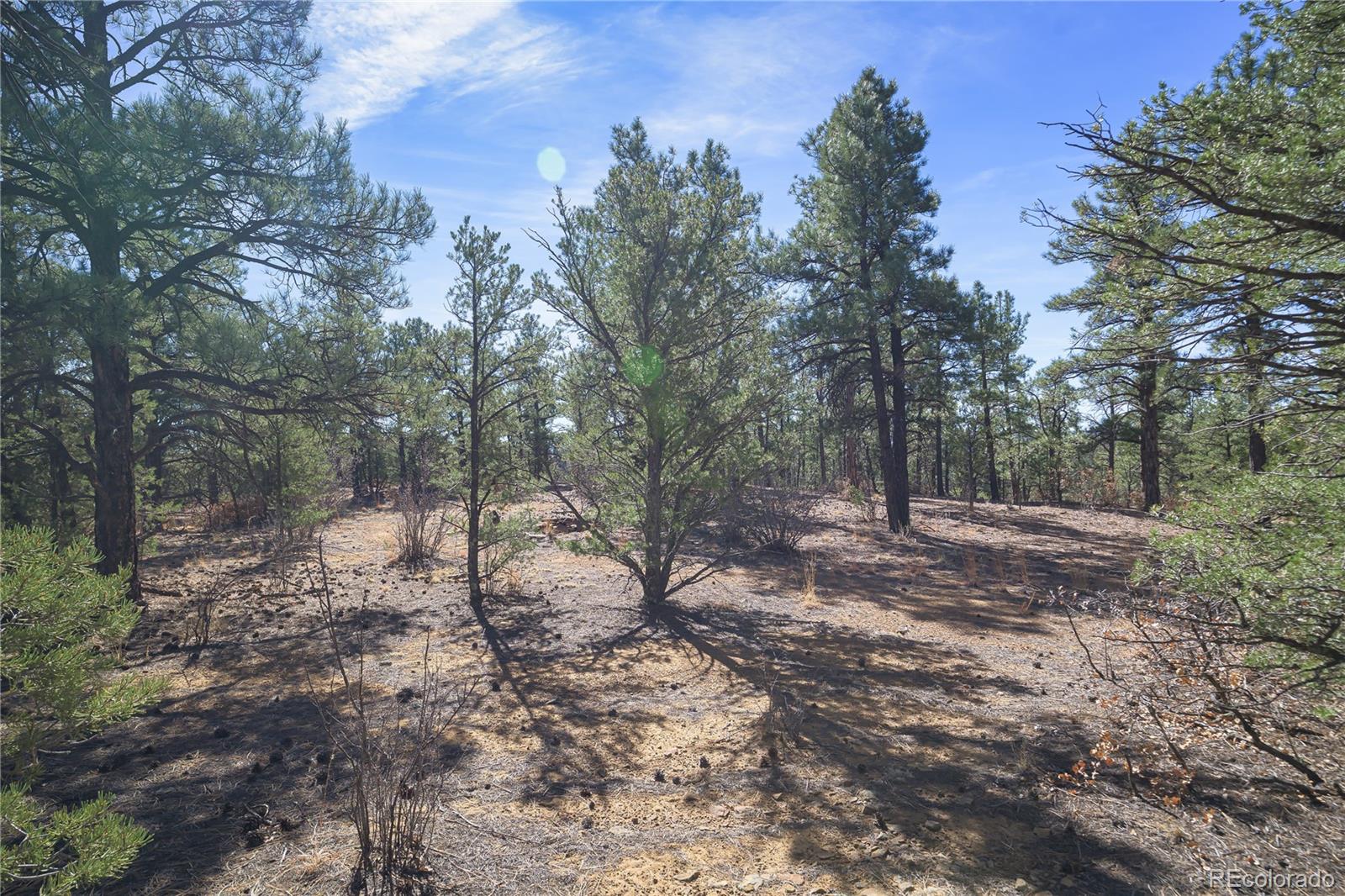 Rancho La Garita Lot 1129