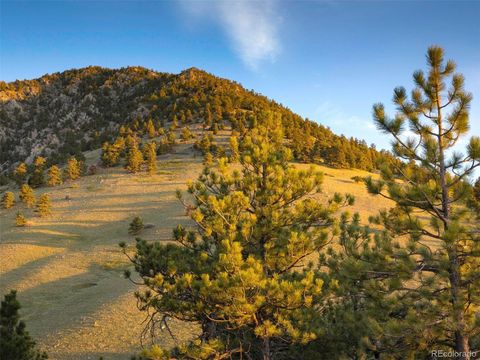 Unimproved Land in Arvada CO 64 Canyon Pines Drive 36.jpg