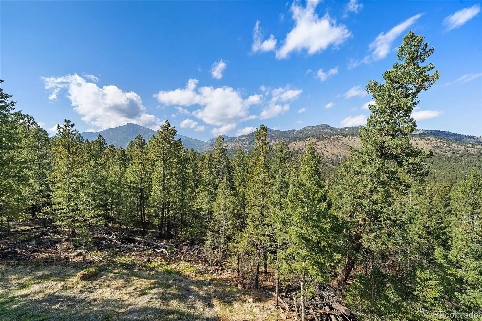 Evergreen, Colorado 80439, United States, ,Land,Active,244821