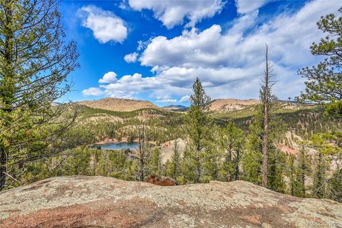 17016 Icehouse Court Pine CO 80470