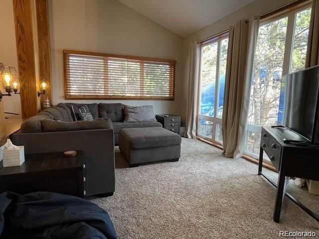 96 Mountainside Drive B19