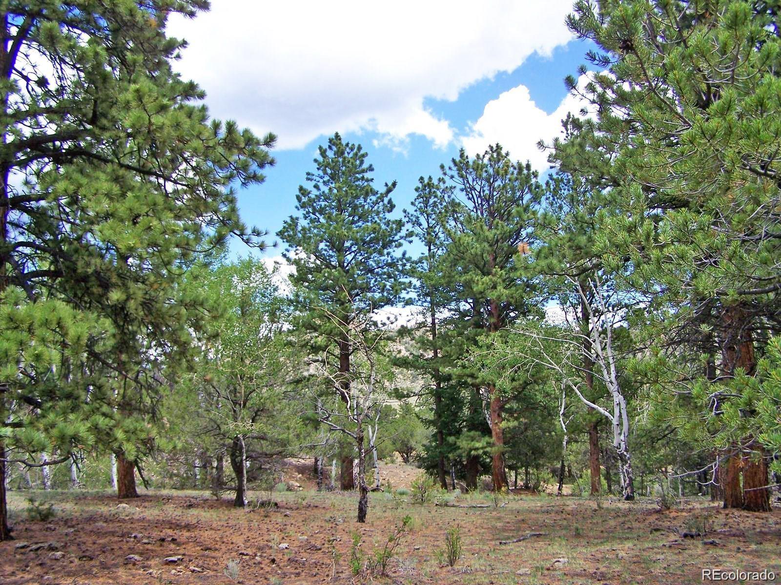 Lot 8 Big Sandy Estates