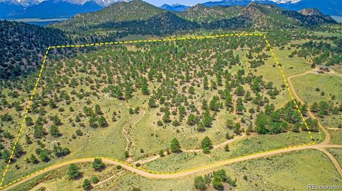 Lot 8 Big Sandy Estates Buena Vista CO 81211