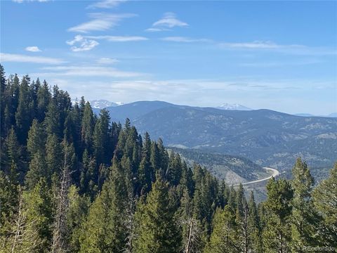 1695 Packsaddle Trail Evergreen CO 80439