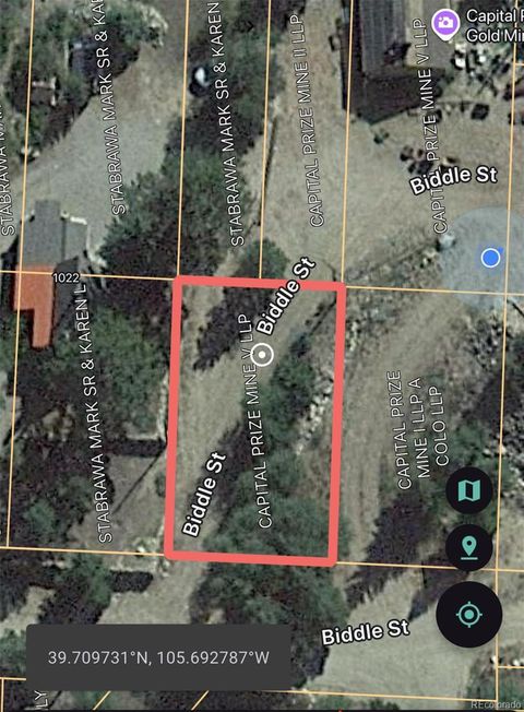 1016-7 Biddle Street Georgetown CO 80444