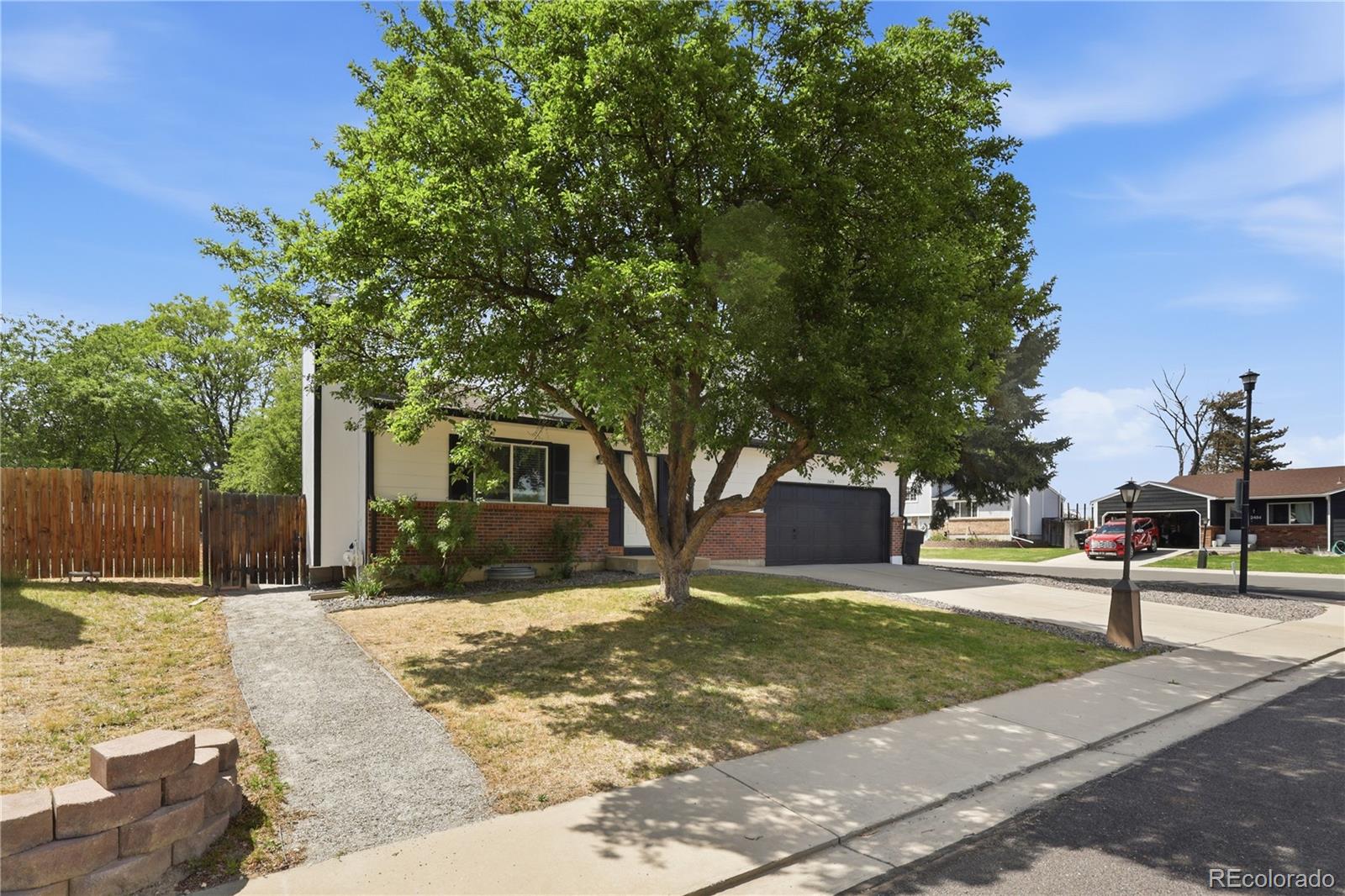 2479 Tulip Street