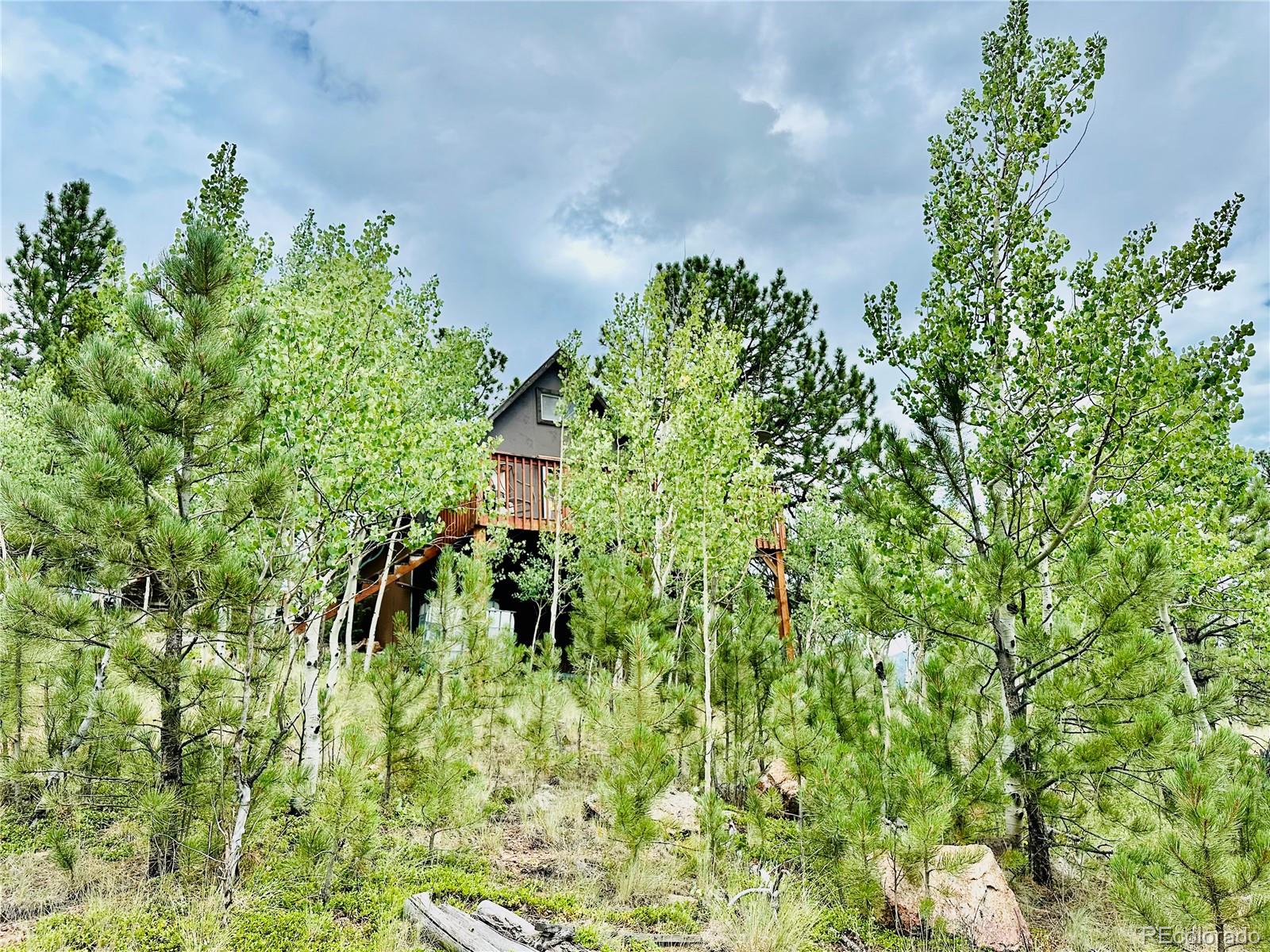 229 Mcdougal Road, Bailey, CO, 80421 1 229 Mcdougal Road