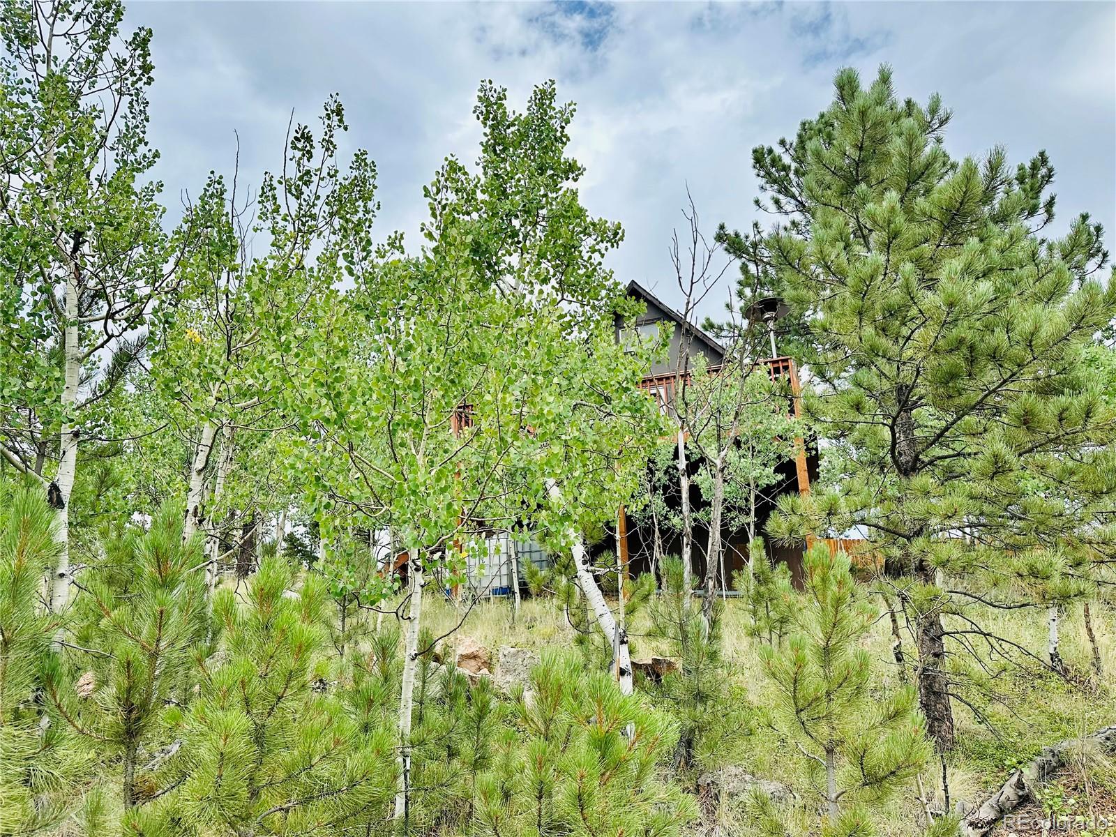 229 Mcdougal Road, Bailey, CO, 80421 2 229 Mcdougal Road