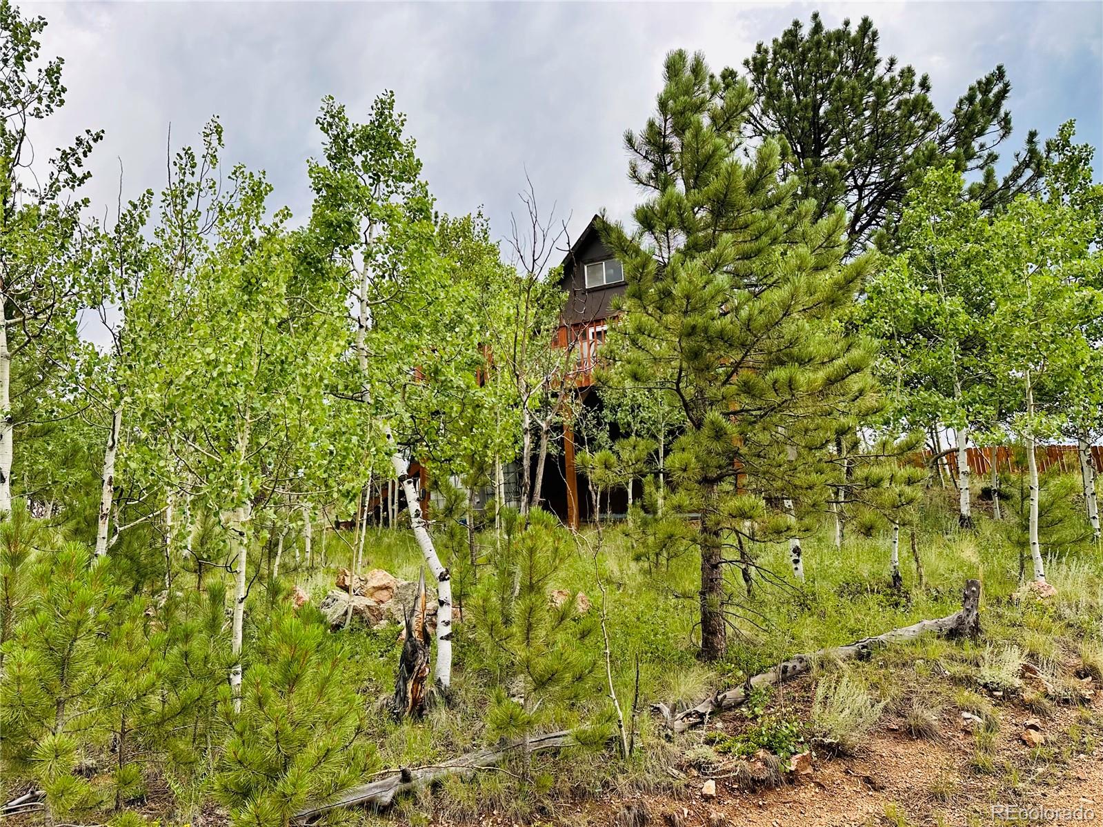 229 Mcdougal Road