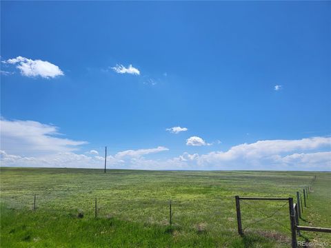 Unimproved Land in Agate CO County Road 160 (Parcel 11 & 12).jpg