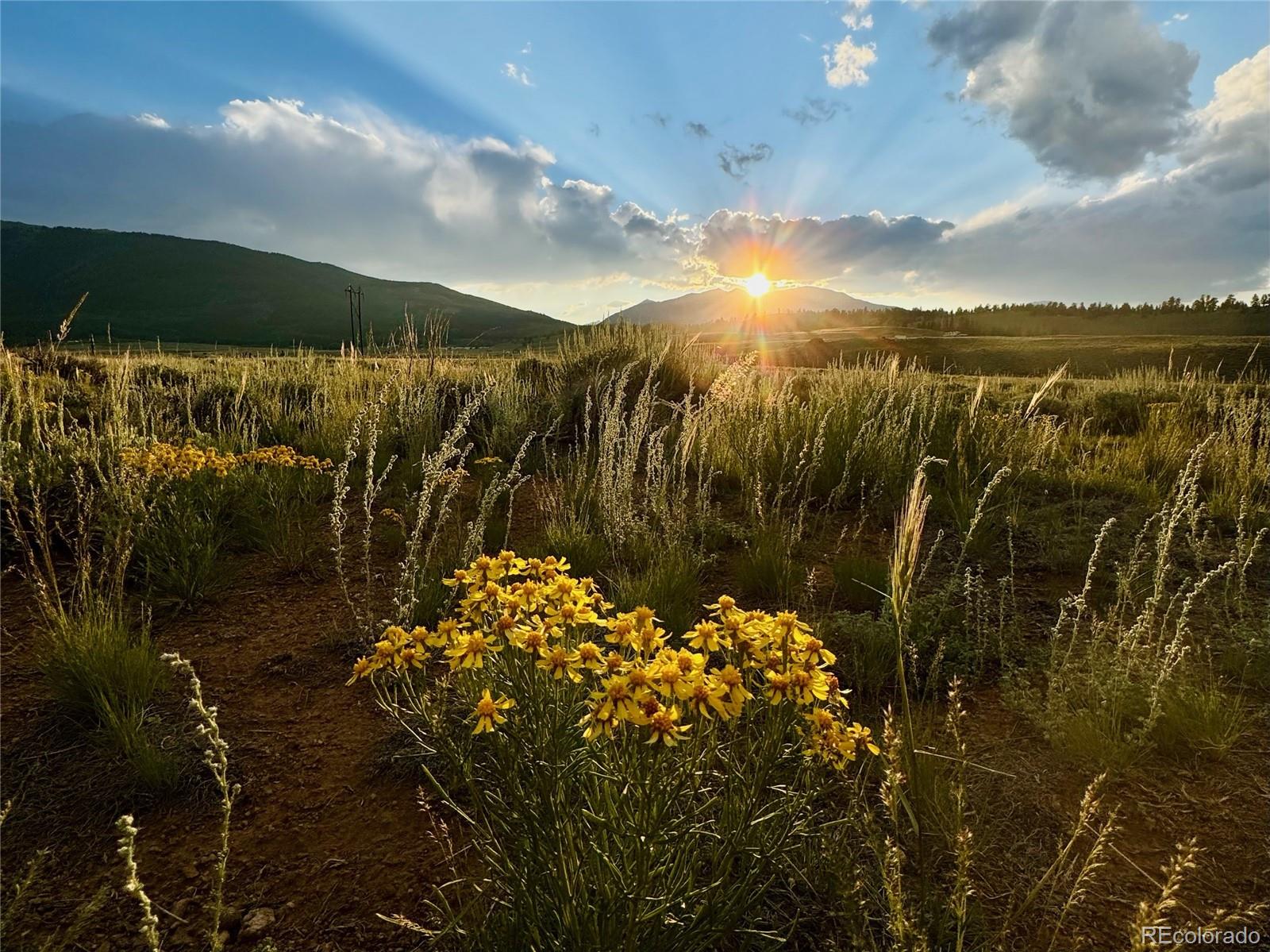 Decagon Loop, Parcel 12