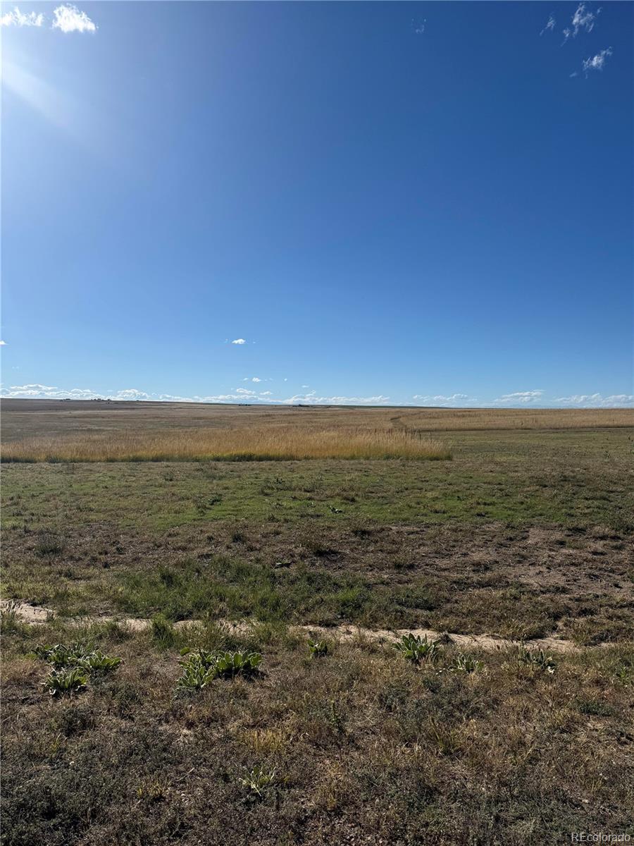 7337 Van Sickle Street