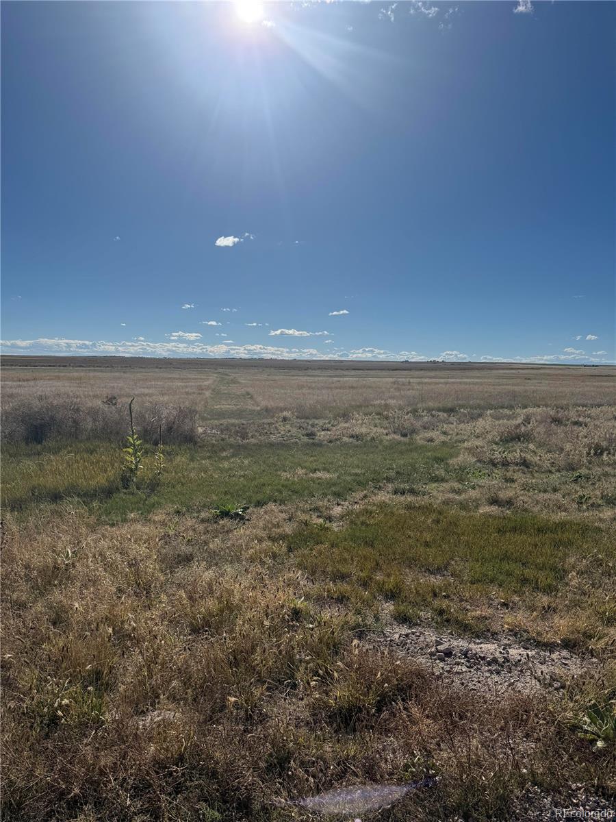 7337 Van Sickle Street