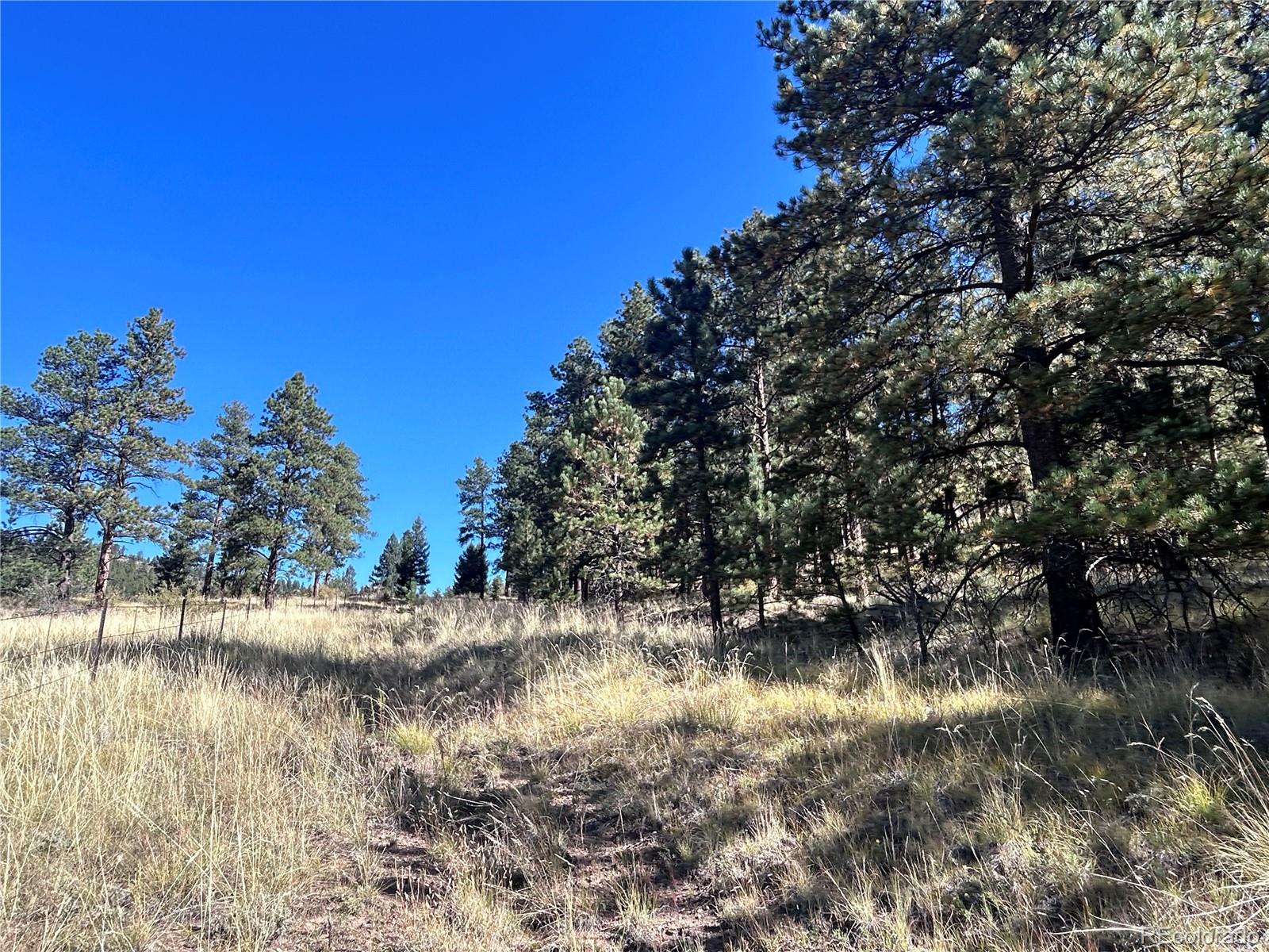 62430 US Highway 285