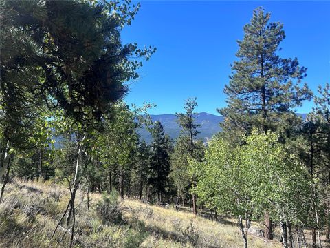 62430 US Highway 285 Bailey CO 80421
