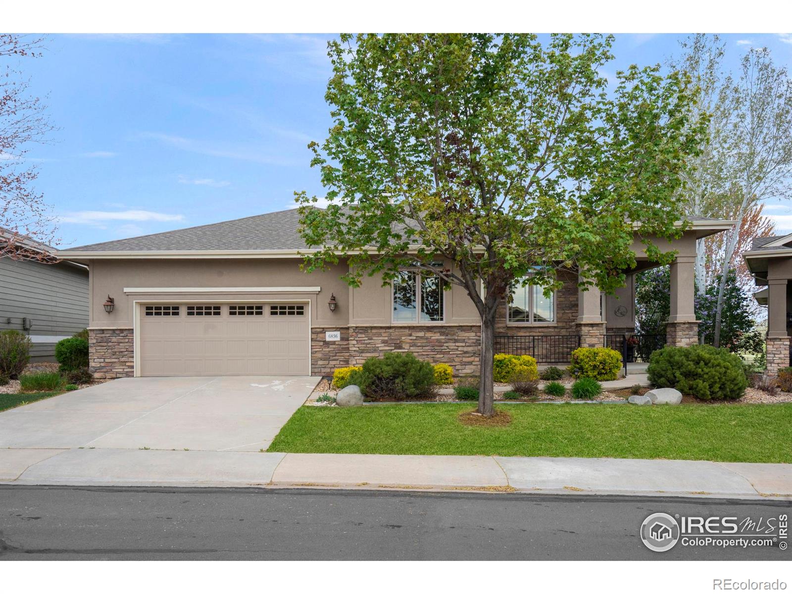 6836 Spanish Bay Drive, Windsor, CO, 80550 3 6836 Spanish Bay Drive