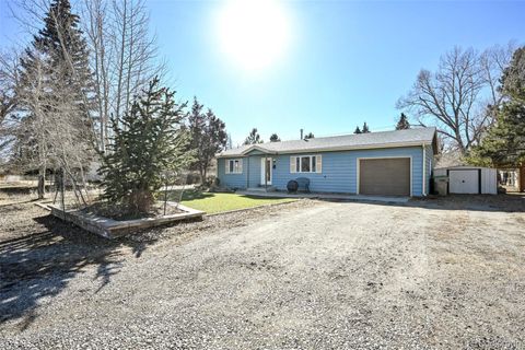 212 N Gunnison Avenue Buena Vista CO 81211