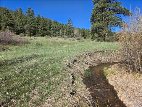 Foxton Road Conifer CO 80433