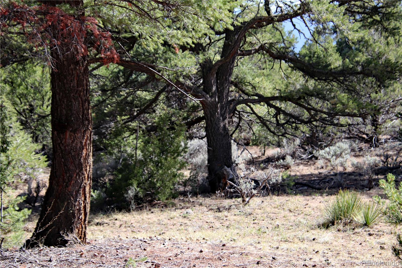 71, 72, 73 Horseshoe Trail