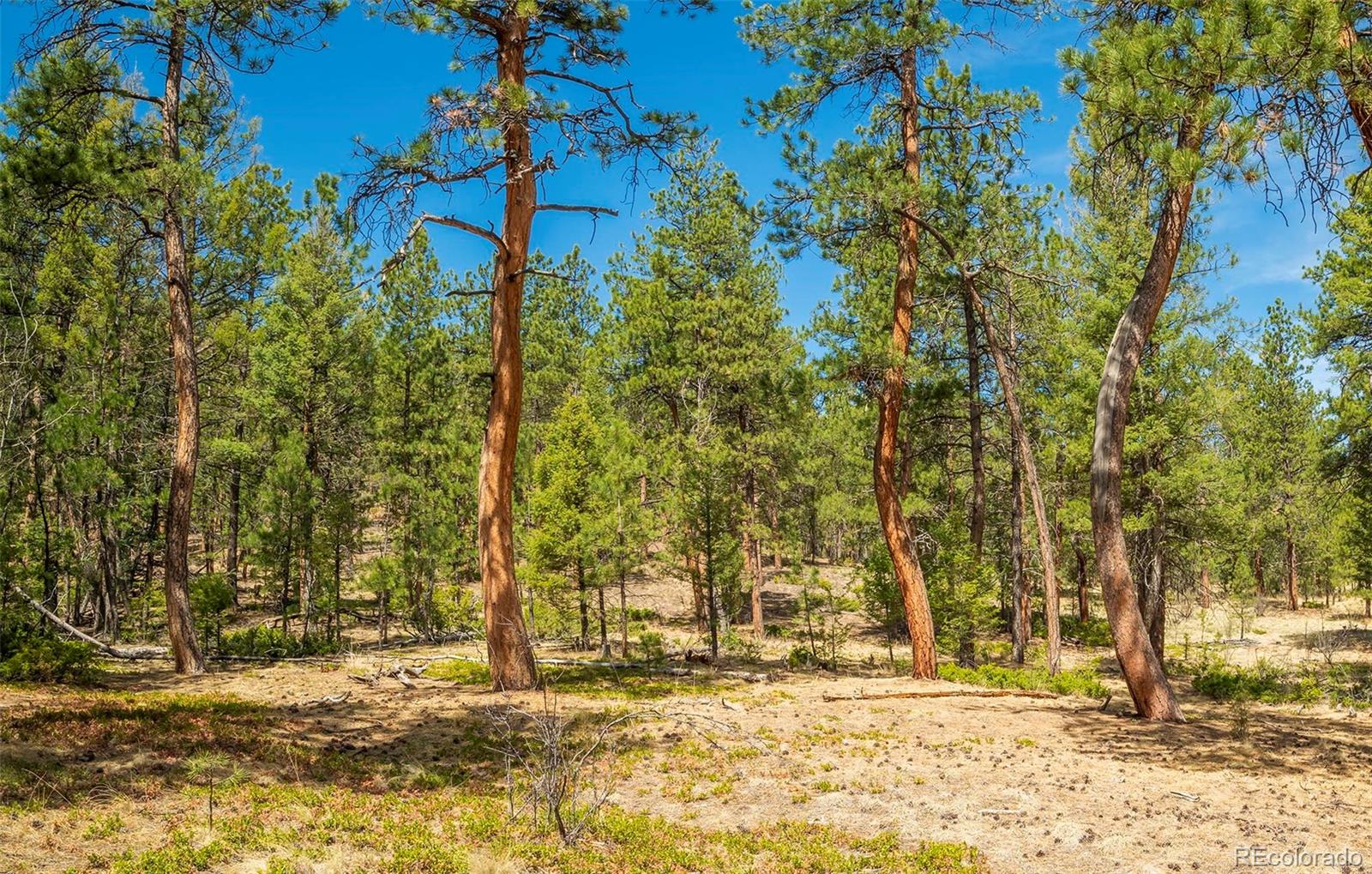 29700 S Sunset Trail
