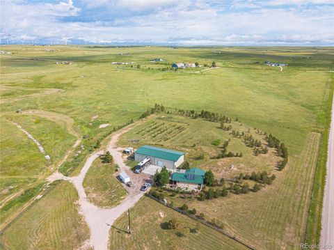 13180 Oil Well Road, Calhan, CO 80808 - #: 5336175