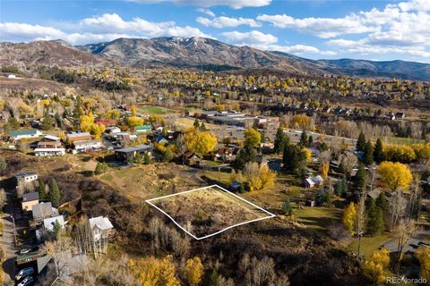 0000 Maple Circle Street, Steamboat Springs, CO 80487 - #: 3791017