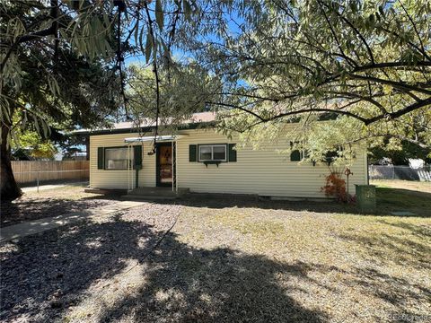 118 N San Juan Avenue Buena Vista CO 81211