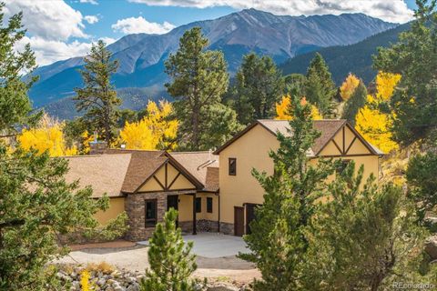 30009 Creek Run Buena Vista CO 81211