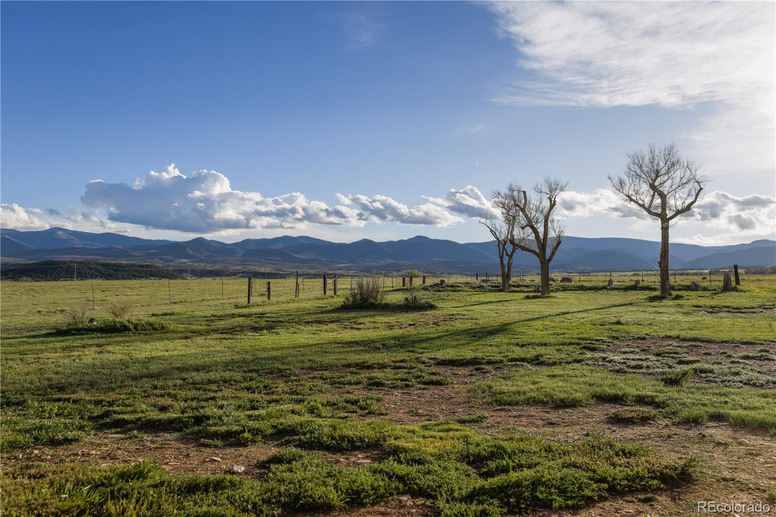 225 County Road 451