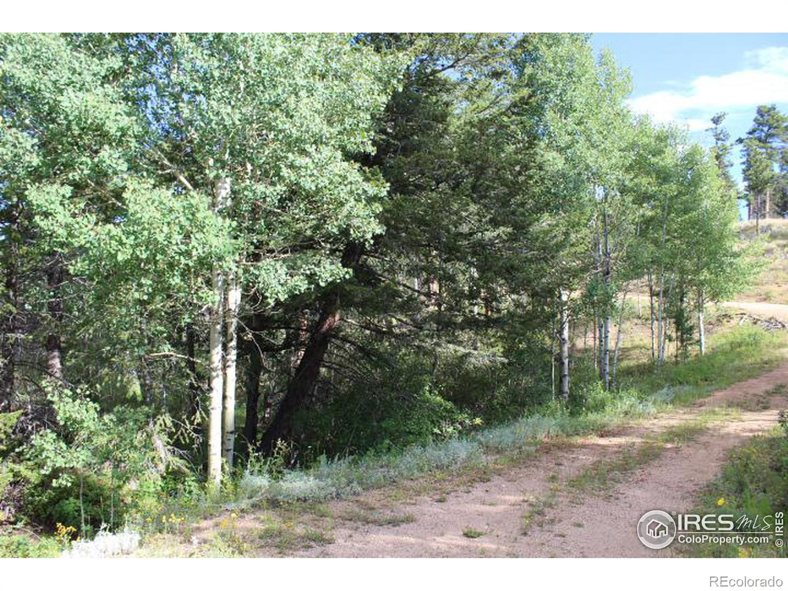 Property: 416 Yuki Drive,Red Feather Lakes, CO