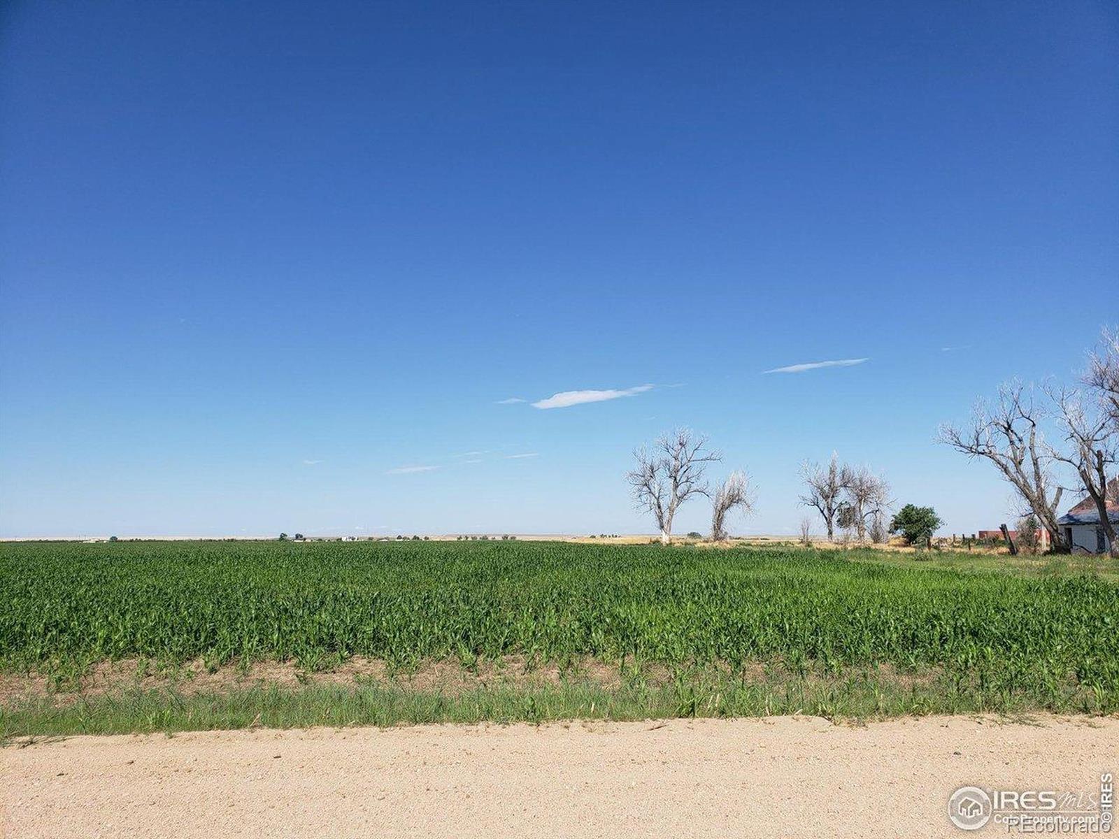 0 County Road 6