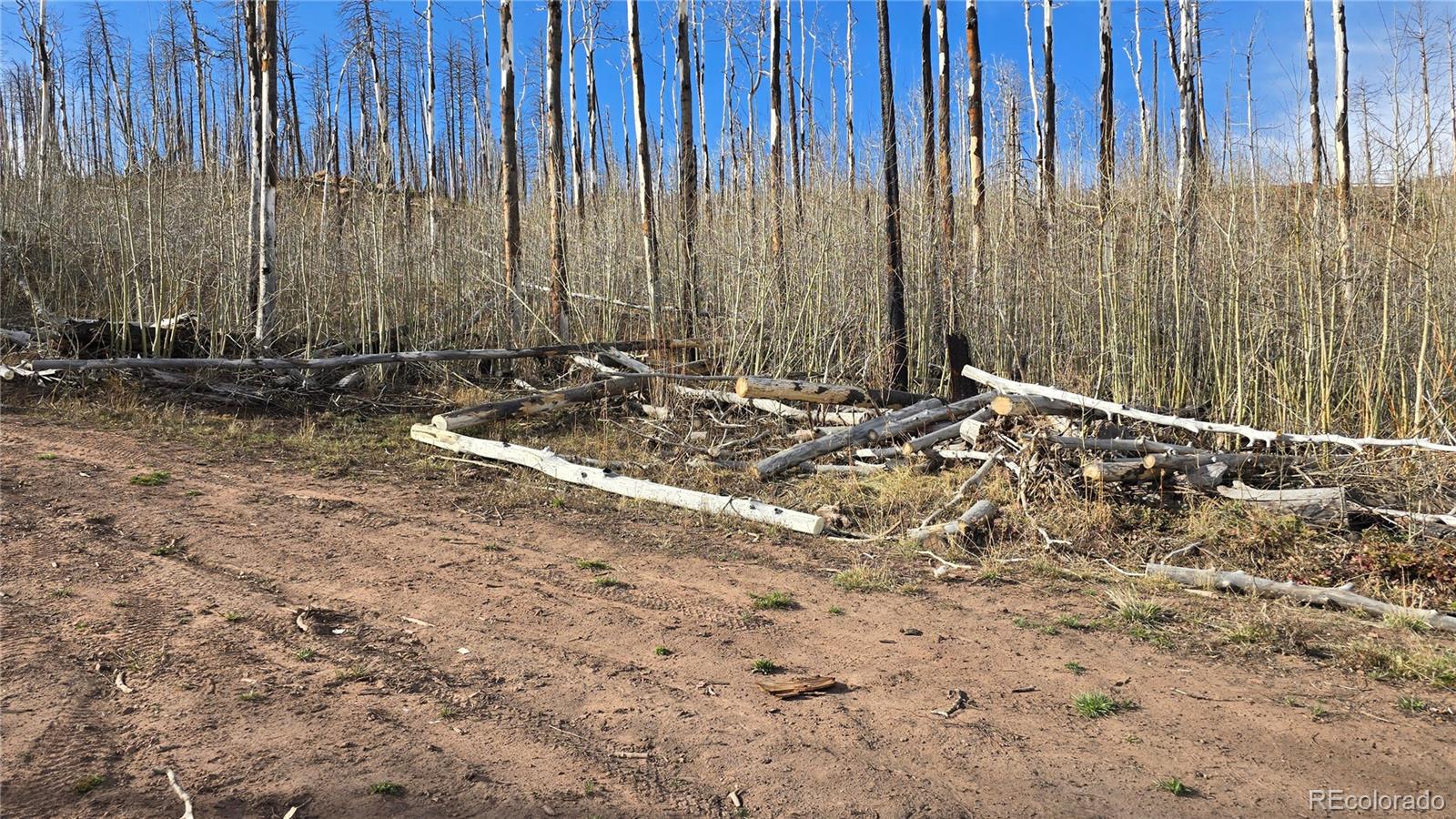 Lot 880 Slaoui Place