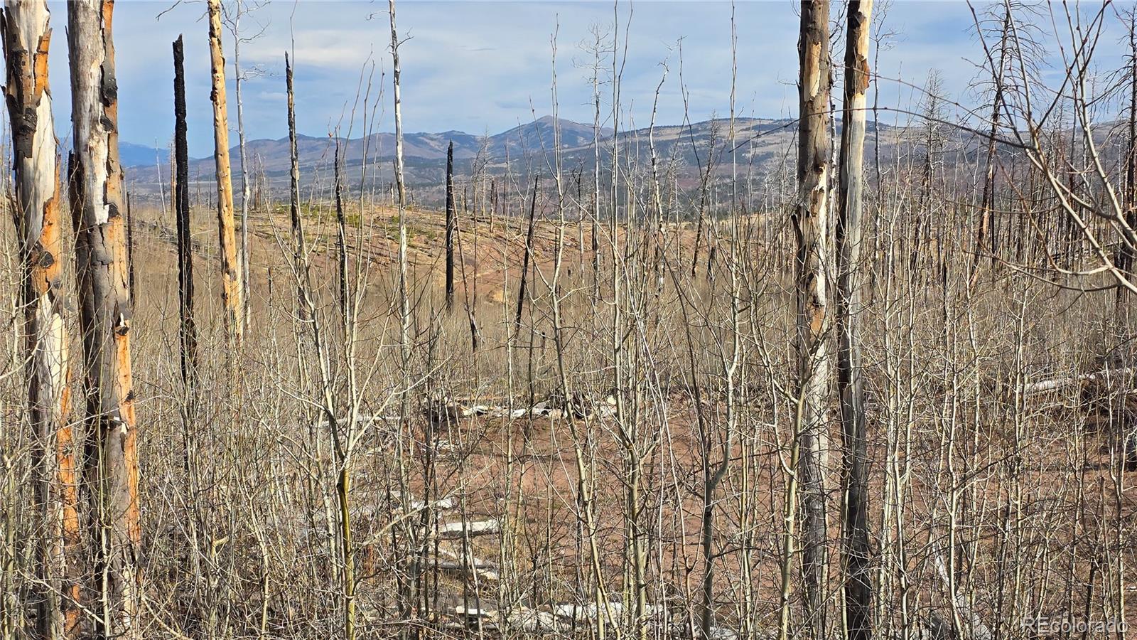 Lot 880 Slaoui Place