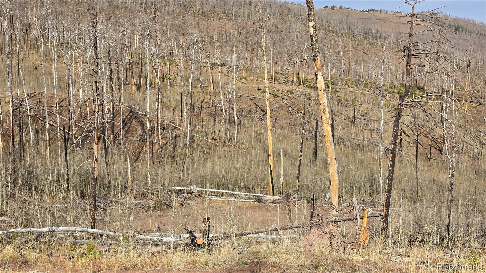 Lot 880 Slaoui Place