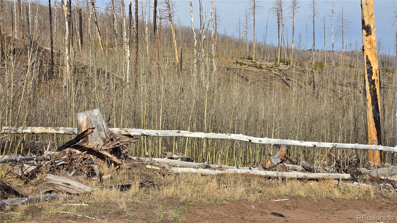 Lot 880 Slaoui Place