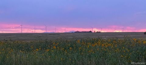 Unimproved Land in Calhan CO 8990 Mulberry Road.jpg