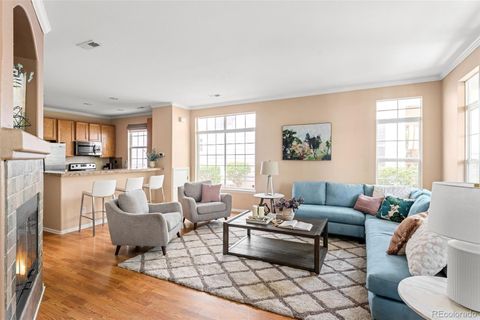 8317 Stonybridge Circle Highlands Ranch CO 80126