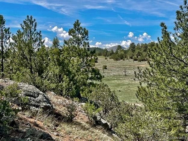 7080 Copper Gulch Road