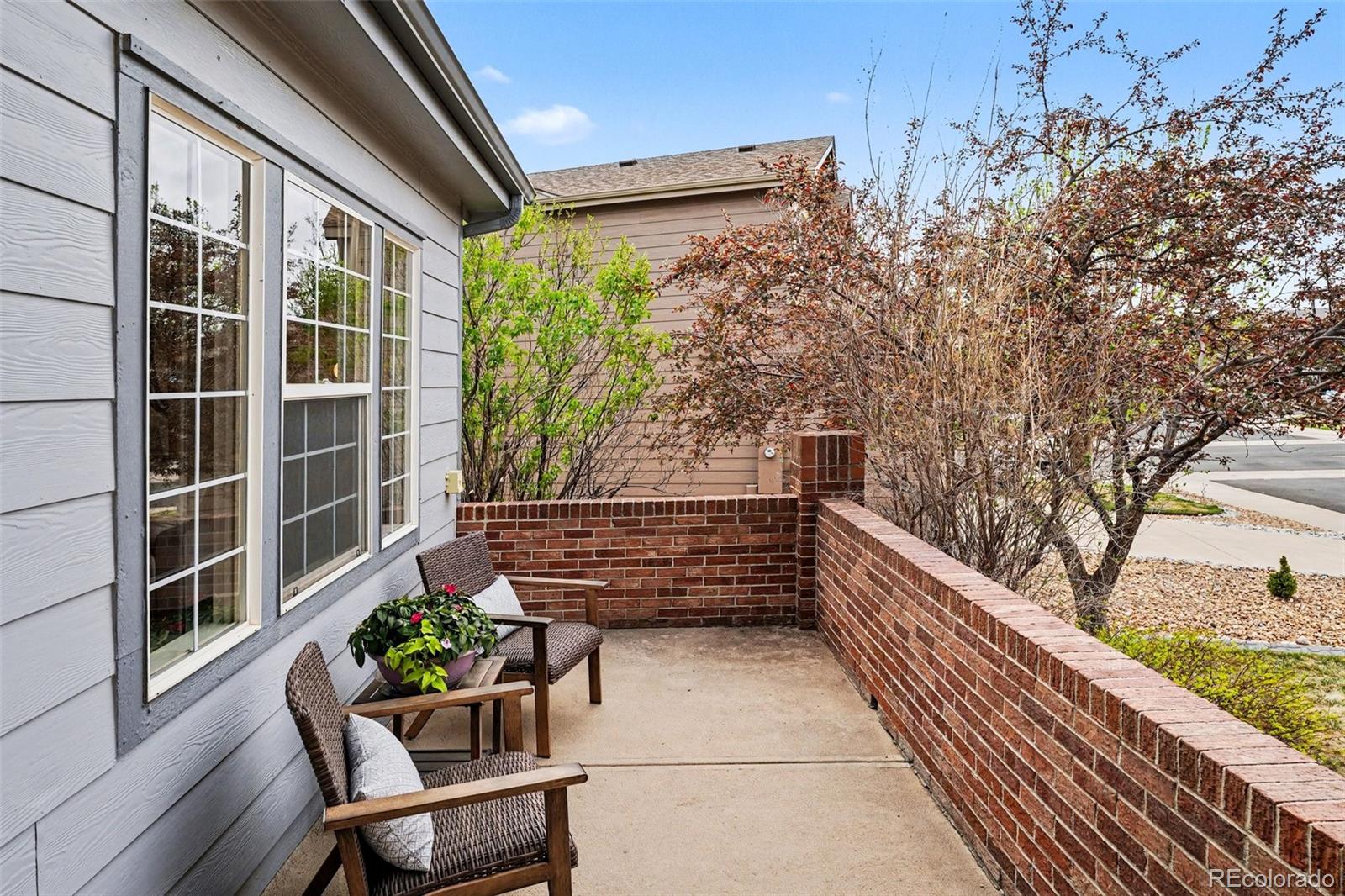 21805 Mount Elbert Place