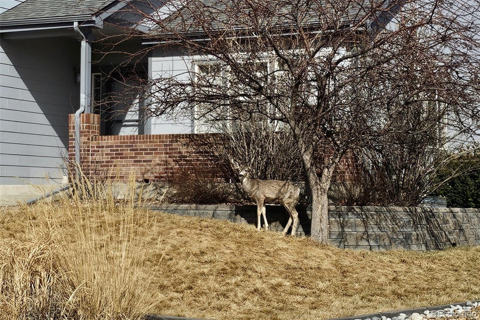 21805 Mount Elbert Place