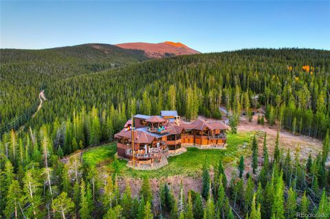 300 Little Sallie Barber Trail Breckenridge CO 80424