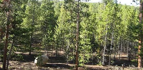 39 Glory Hole Road Idaho Springs CO 80452