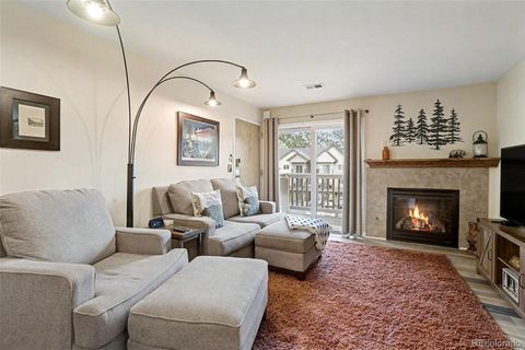 1890 Argentine Street D304 Georgetown CO 80444