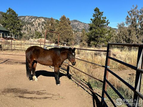 123 Mohawk Road Lyons CO 80540