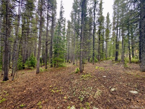 Lot 285 Lower Forest Road Idaho Springs CO 80452