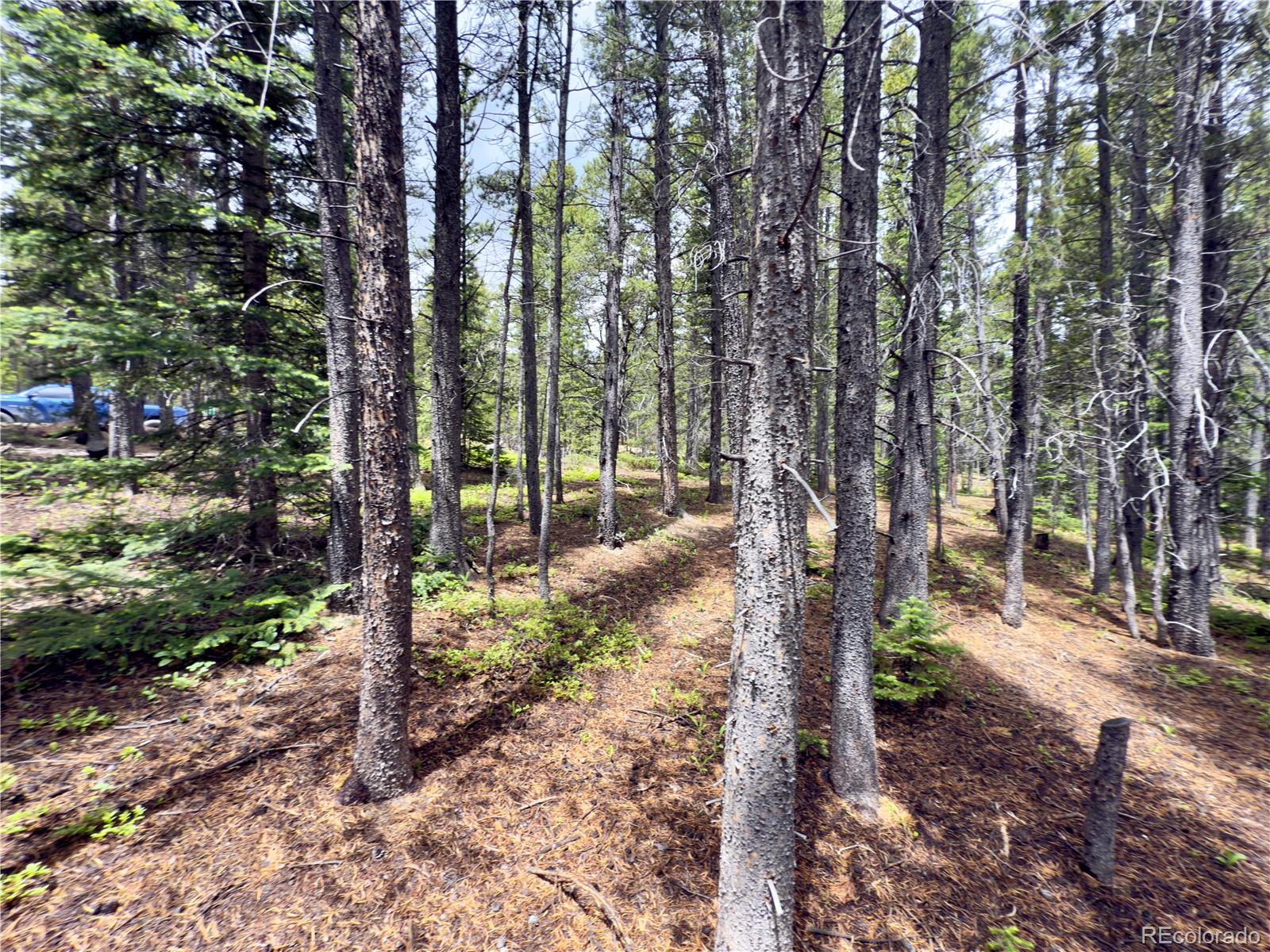 Lot 285 Lower Forest Road
