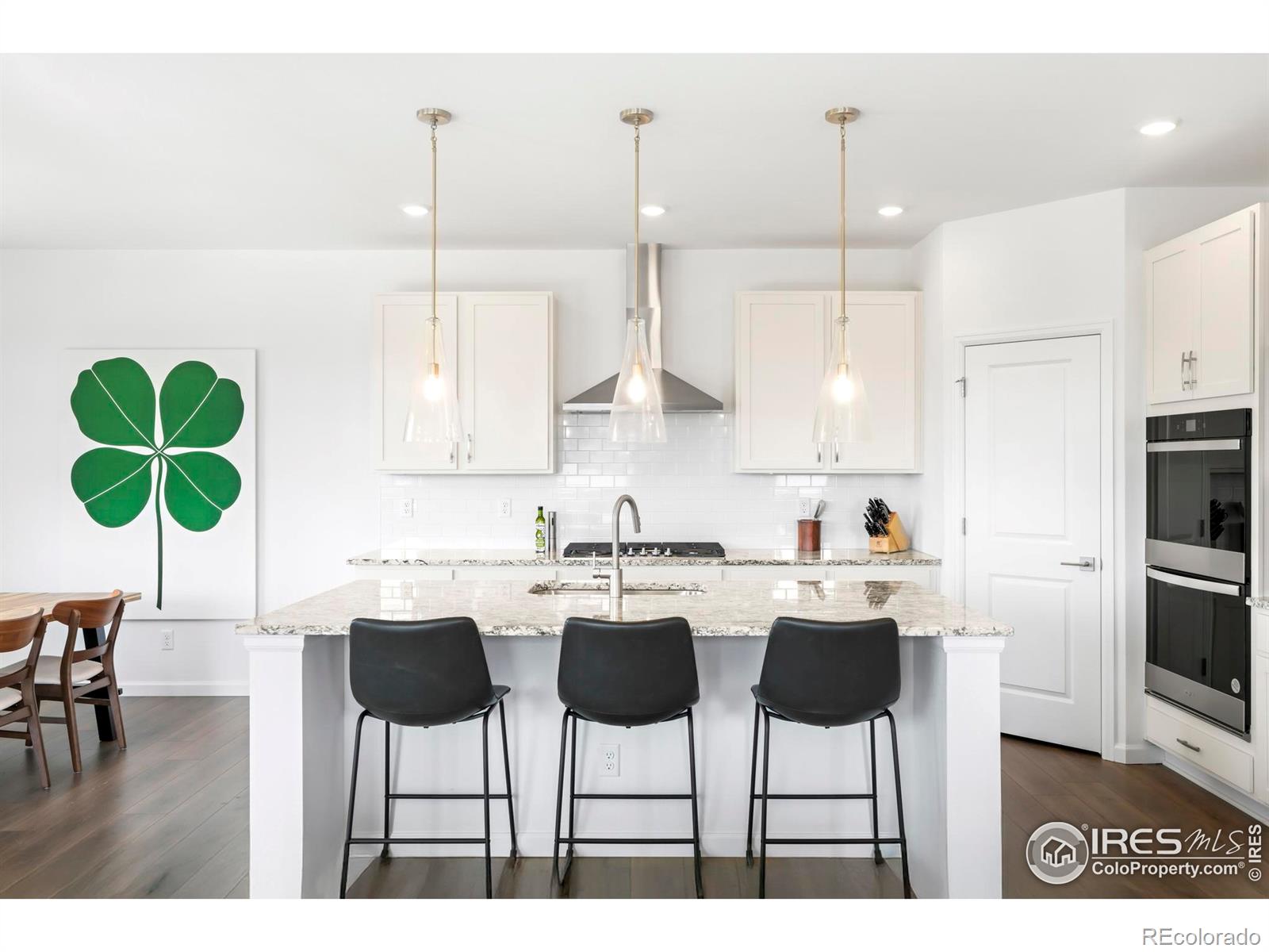 2905 S Flat Circle