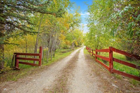 17007 County Road 338 Buena Vista CO 81211
